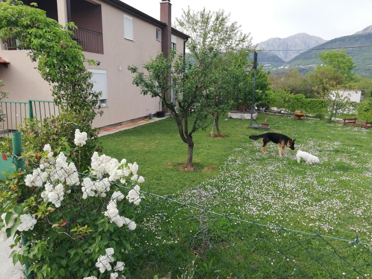 Apartmani Emma Kotor Quarto foto
