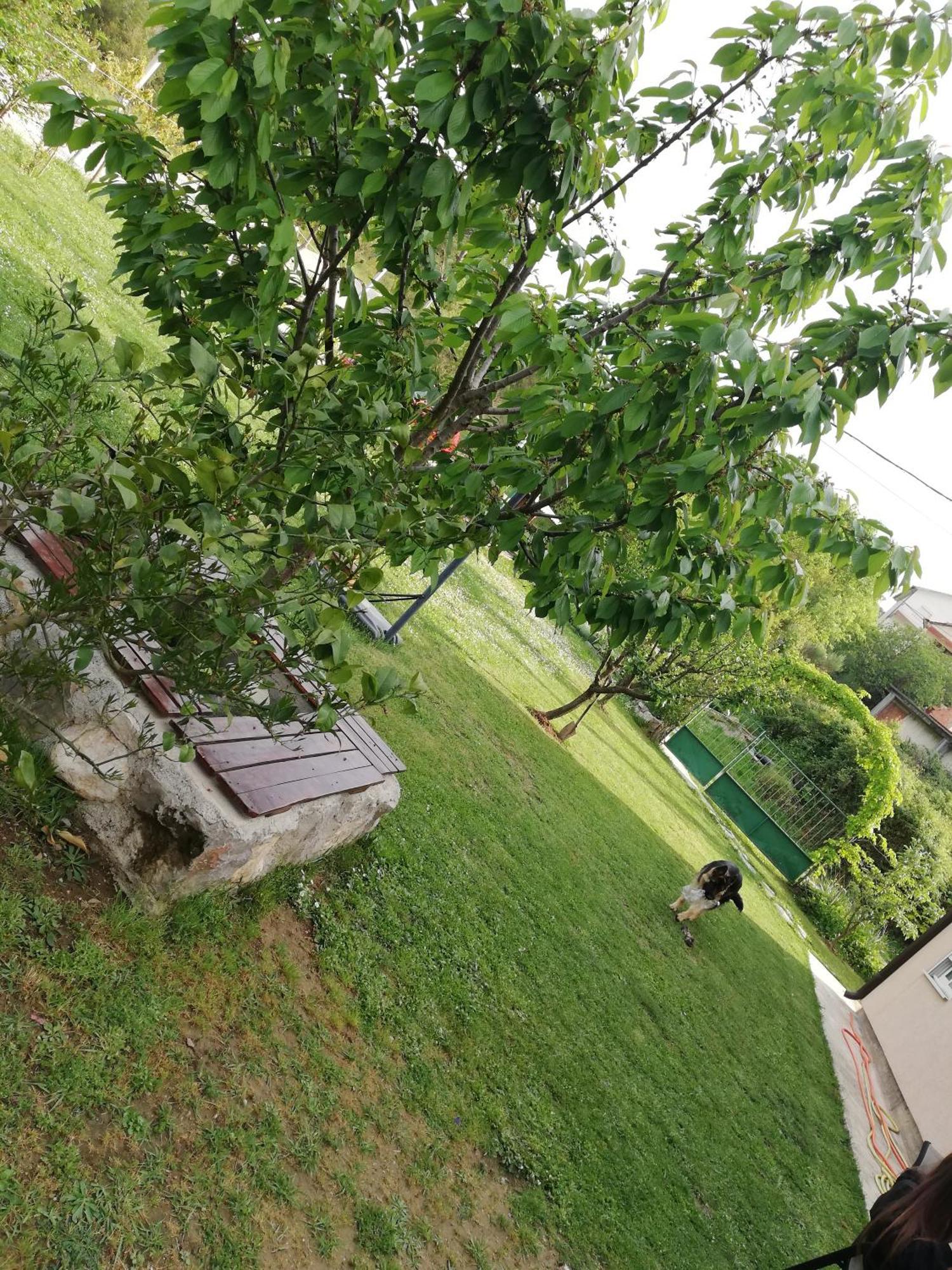 Apartmani Emma Kotor Quarto foto